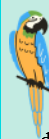 0300hjsb-8839-62x176.png