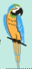 0300hjss-dba3-58x125.png