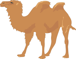 0300hmg3-8435-254x198.png