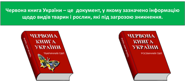 0300hqf4-3c11-611x276.png