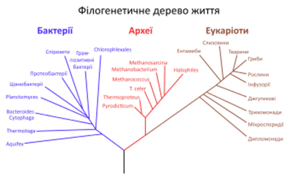 0300hqkd-fd5e-931x583.png