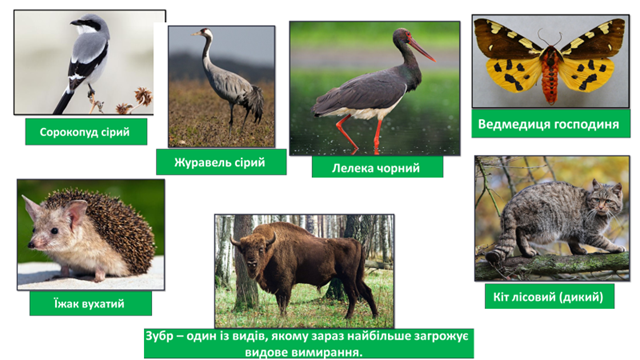 0300hqnn-fb50-640x360.png