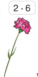 0300hrpb-4186-133x270.png