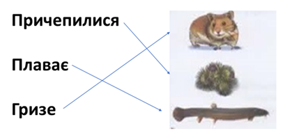 0300ht82-a9b5-409x201.png