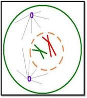 0300hy6s-638f-175x196.jpg