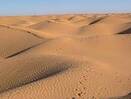 desert — Викисловарь