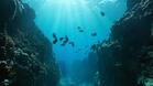 Tourism Leaders Call for Urgent Action to Protect the Oceans