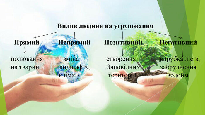 Презентація "Вплив людини та її діяльність на екосистеми. Екологічна етика"