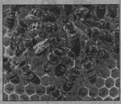 0300i1jv-6c05-172x149.jpg