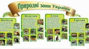 Природні зони України. Полісся, лісостеп, степ, Карпатські та Кримські гори.