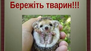 Факультативний курс  "Охорона тварин"