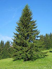 0300i9vx-803a-200x267.jpg