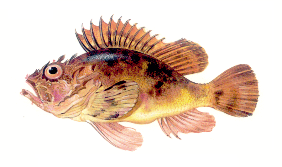 0300ie1c-5c88-900x533.png