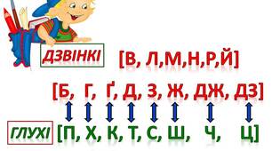 Дзвінкі і глухі приголосні