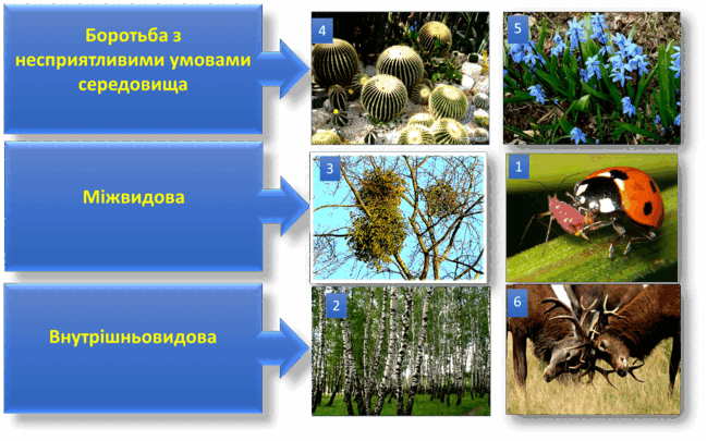 0300igvz-6551-565x353.png