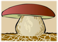 0300iits-c1a7-195x142.png