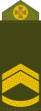 0300impo-4d38-174x470.png