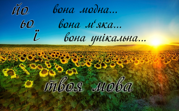 0300it0p-cdb6-618x386.png