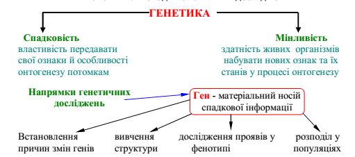 0300iwon-3e3f-511x226.png