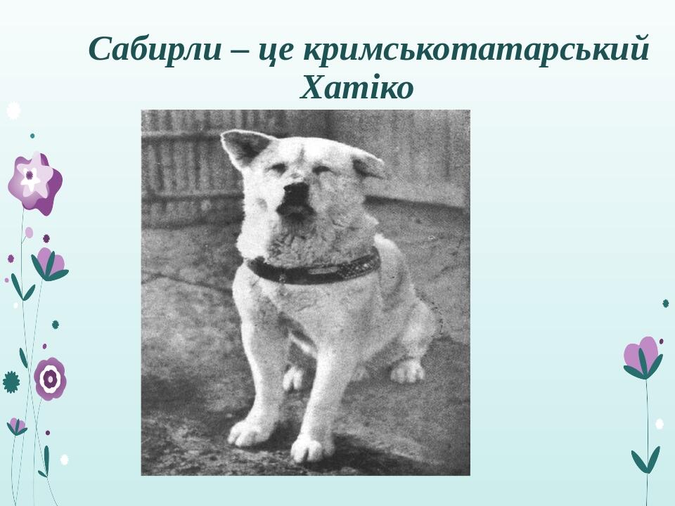 Сабирли – це кримськотатарський Хатіко