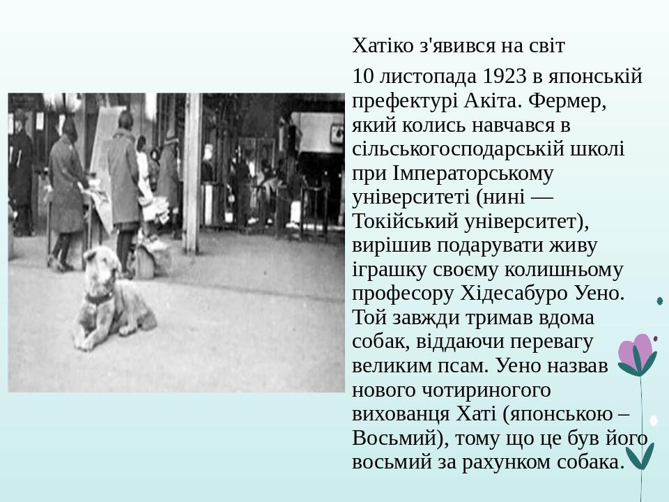 Хатіко з'явився на світ 10 листопада 1923 в японській префектурі Акіта. Фермер, який колись навчався в сільськогосподарській школі при Імператорськ...