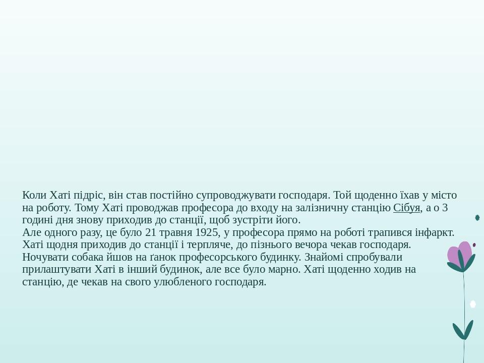 Коли Хаті підріс, він став постійно супроводжувати господаря. Той щоденно їхав у місто на роботу. Тому Хаті проводжав професора до входу на залізни...