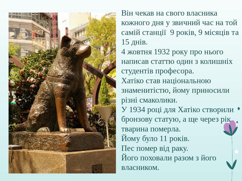 Він чекав на свого власника кожного дня у звичний час на той самій станції  9 років, 9 місяців та 15 днів. 4 жовтня 1932 року про нього написав ста...