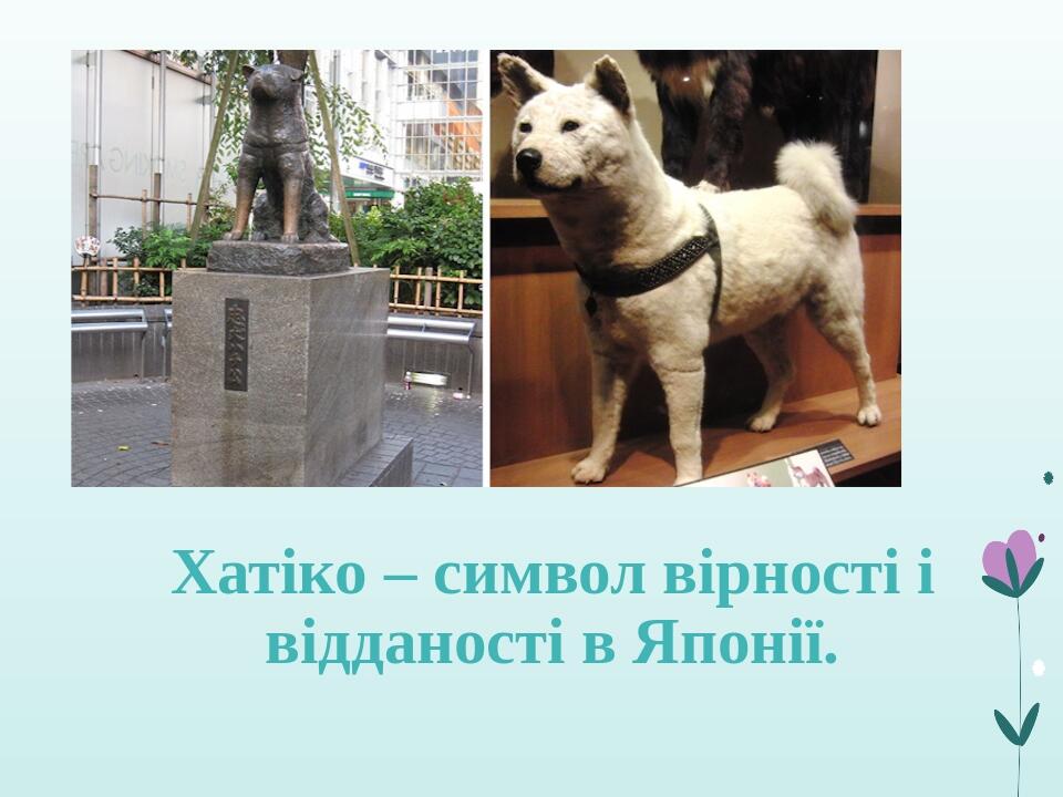 Хатіко – символ вірності і відданості в Японії.