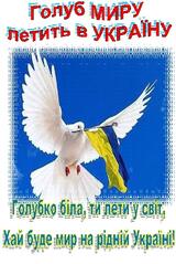 0300izi2-b73d-160x239.jpg