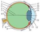 0300j0uj-54b9-138x111.jpg