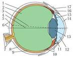 0300j0v6-ab2f-145x116.jpg