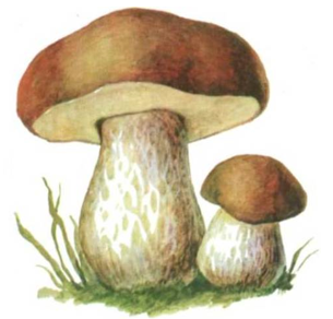 0300j10j-59ab-305x292.png