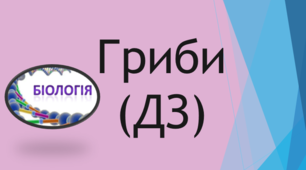 (Копія) Гриби (ДЗ)