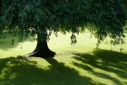 0300j25m-13a7-253x169.jpg