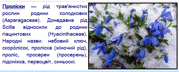 0300j64l-ba37-617x250.png