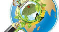 TEST "The World of Nature" (4th form, NUS)