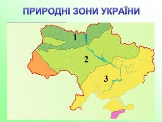 0300j8nw-3404-700x525.jpg