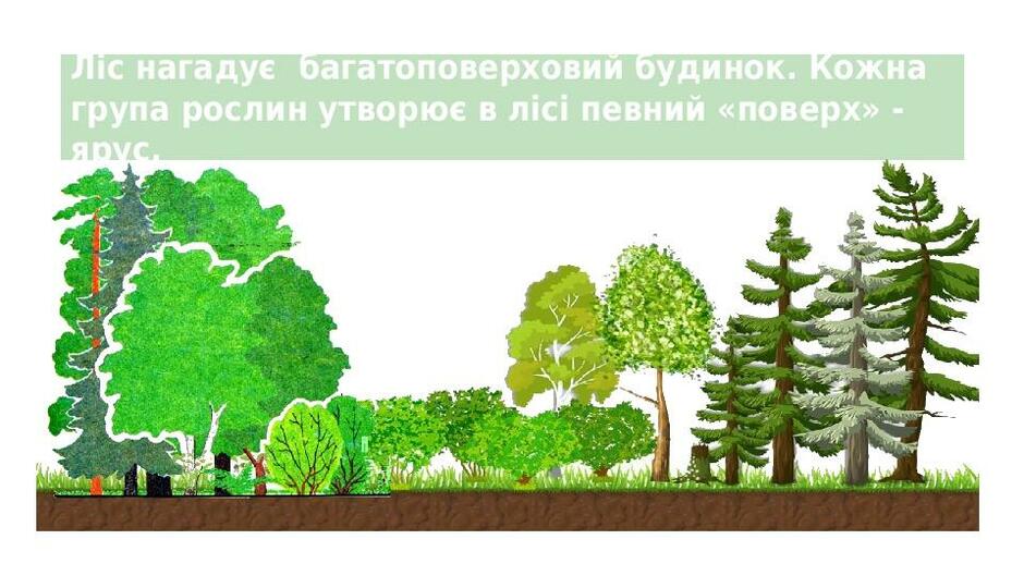 0300j8y8-ccc6-940x529.jpg