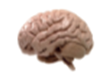 0300j8zg-d44d-110x80.png