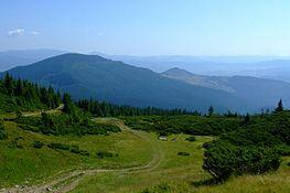 0300j97a-59ec-263x175.jpg