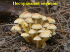 0300j9l8-6d15-142x107.png