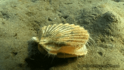 0300ja3b-8b3b-402x226.gif
