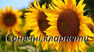 Презентація "П. Тичина. Збірка "Сонячні кларнети"