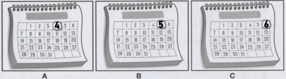 0300jfjw-6572-556x154.png