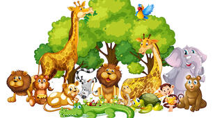 GG1 Unit 7 Animals