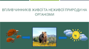 Презентація уроку "Вплив чинників живої та неживої природи на організми."