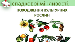 Презентація уроку "Гомологічні ряди спадкової мінливості. Походження культурних рослин"