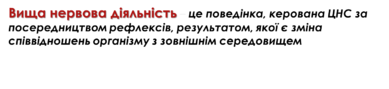 0300jlmr-f2ee-389x89.png