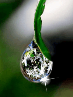 0300jn8s-835e-240x320.gif