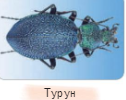 0300jpfz-aa36-159x126.png
